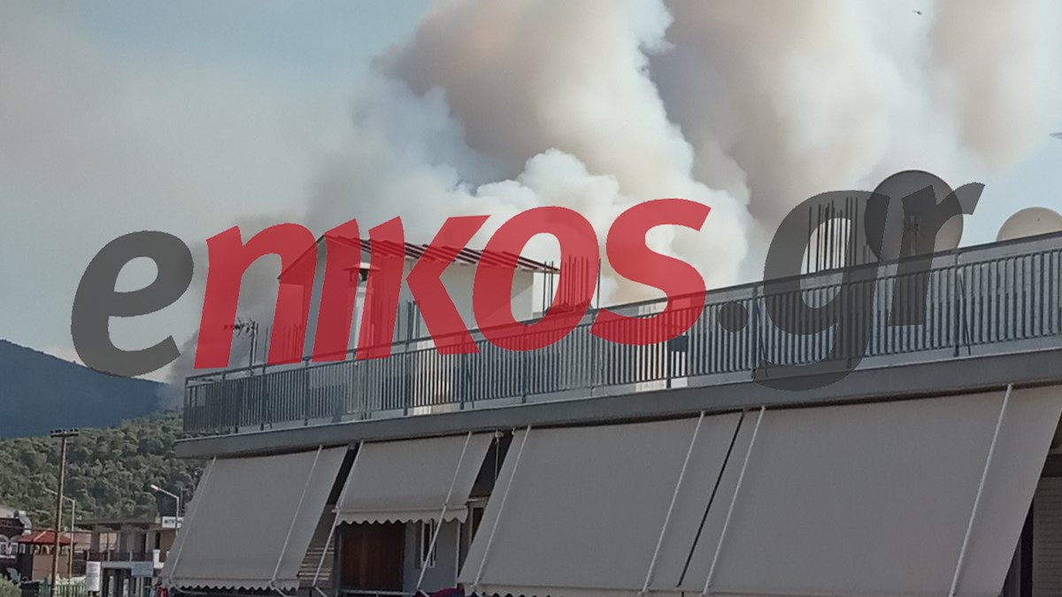 Φωτιά στην Κορινθία: Καλύτερη η εικόνα από το πύρινο μέτωπο – Νέες ΦΩΤΟ αναγνώστη