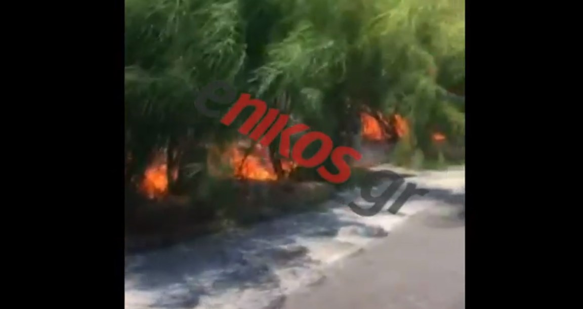 Φωτιά ΤΩΡΑ στη Βουλιαγμένη – ΒΙΝΤΕΟ αναγνώστη