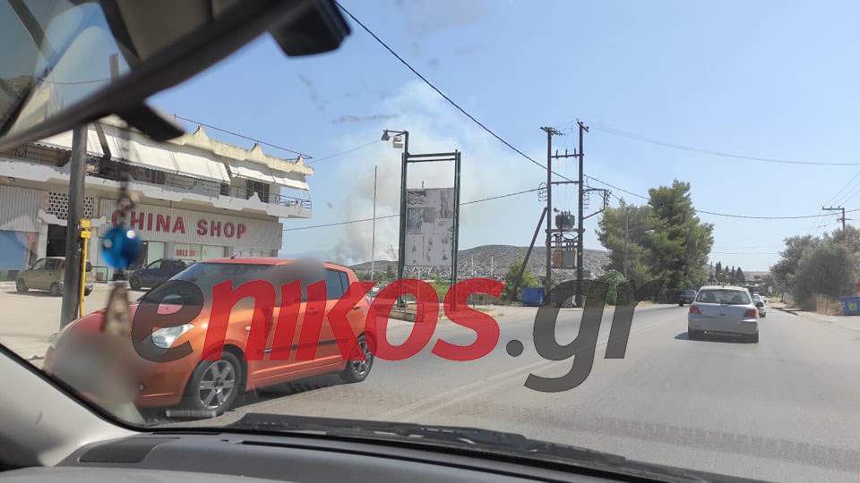 Νέες εικόνες από τη φωτιά στη Χαλκίδα – ΦΩΤΟ αναγνώστη