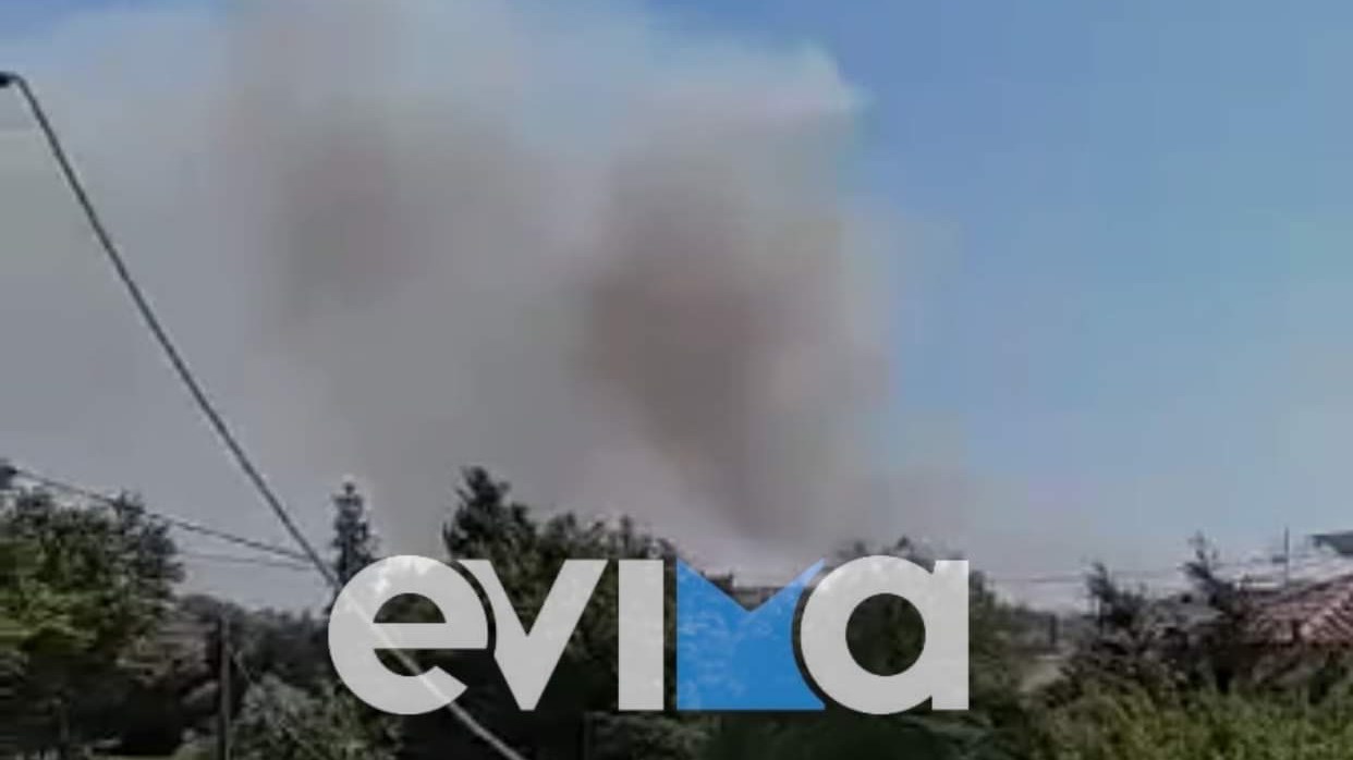 Μεγάλη φωτιά στη Χαλκίδα – Ενισχύθηκαν οι επίγειες και εναέριες δυνάμεις της Πυροσβεστικής