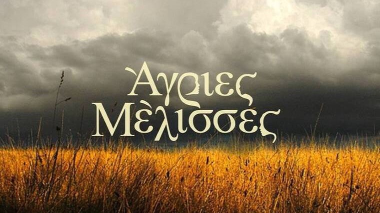 Η αποκάλυψη γνωστής ηθοποιού για το τηλεφώνημα που δέχθηκε από τις “Άγριες Μέλισσες”