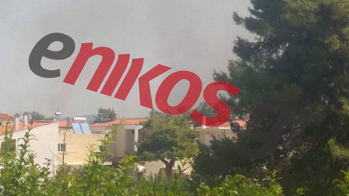 Mεγάλη φωτιά σε Σταμάτα-Ροδόπολη – Απειλεί σπίτια – ΦΩΤΟ – ΒΙΝΤΕΟ