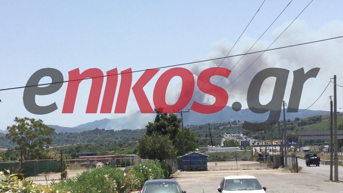 Νέες εικόνες από τη φωτιά στη Σταμάτα – Ενισχύονται οι πυροσβεστικές δυνάμεις – ΦΩΤΟ – ΒΙΝΤΕΟ αναγνώστη