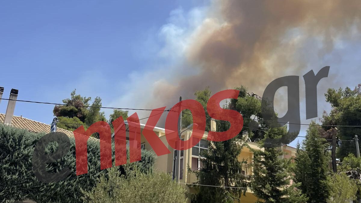 Ανεξέλεκτη η φωτιά στη Σταμάτα – ΦΩΤΟ αναγνώστη από τη λεωφόρο Διονύσου