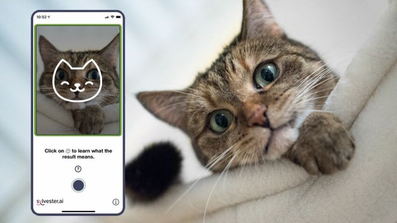 Η εφαρμογή που σας ενημερώνει για τη… διάθεση της γάτας σας