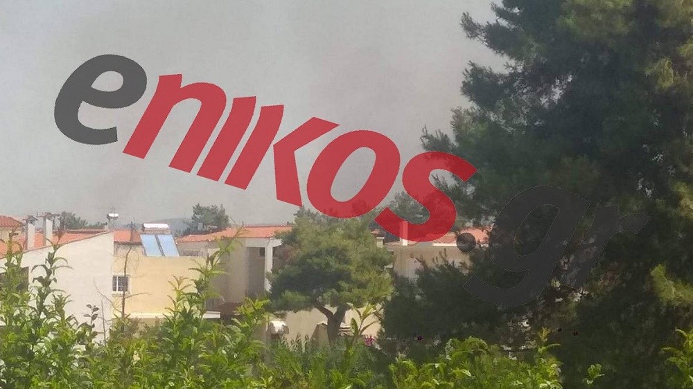 Σοβαρές καταγγελίες για έκρηξη σε γκαζάκια πριν από την πυρκαγιά – Βίντεο