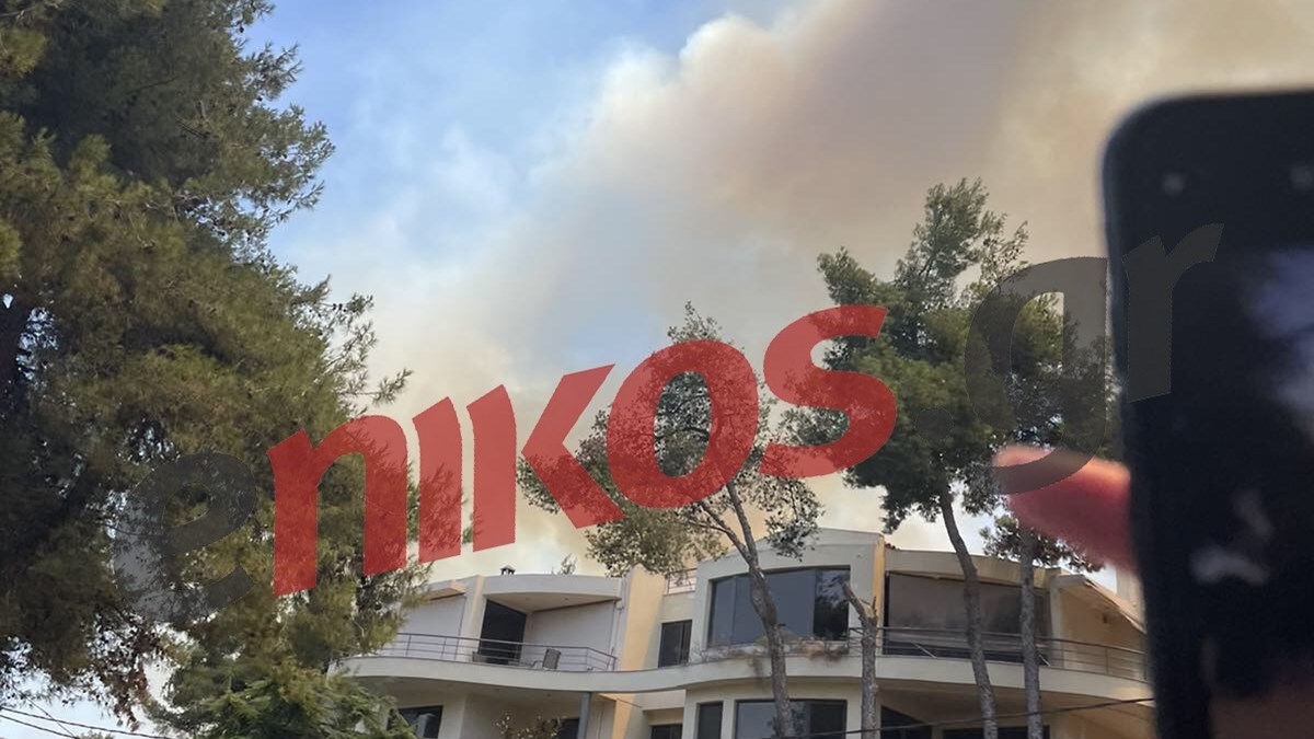 Προσαγωγή υπόπτου για τη φωτιά σε Σταμάτα-Ροδόπολη