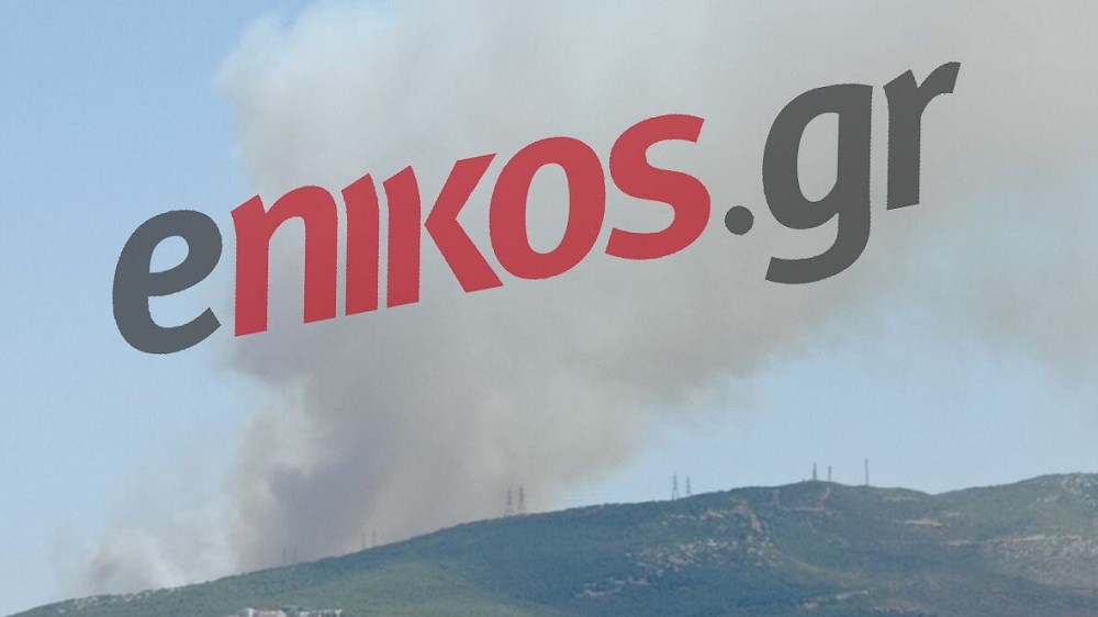 Σε ύφεση η πυρκαγιά σε Σταμάτα-Διόνυσο – Η ενημέρωση Χαρδαλιά και η έκκληση Χρυσοχοΐδη