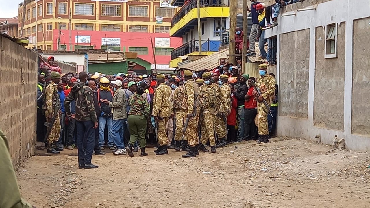 Λιοντάρι το έσκασε από εθνικό πάρκο και έσπειρε τον πανικό – ΦΩΤΟ -ΒΙΝΤΕΟ