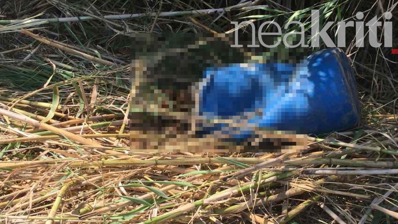 Κρήτη: Το στοιχείο «κλειδί» που θα δώσει απαντήσεις για το πτώμα στο βαρέλι