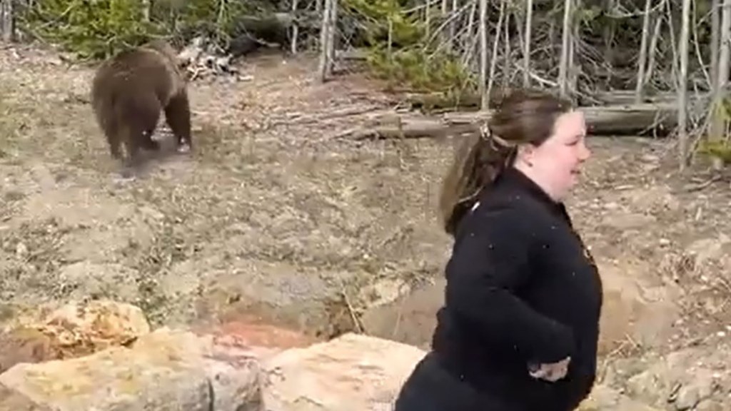 Viral τουρίστρια που πλησίασε αρκούδα – Γιατί την συνέλαβαν