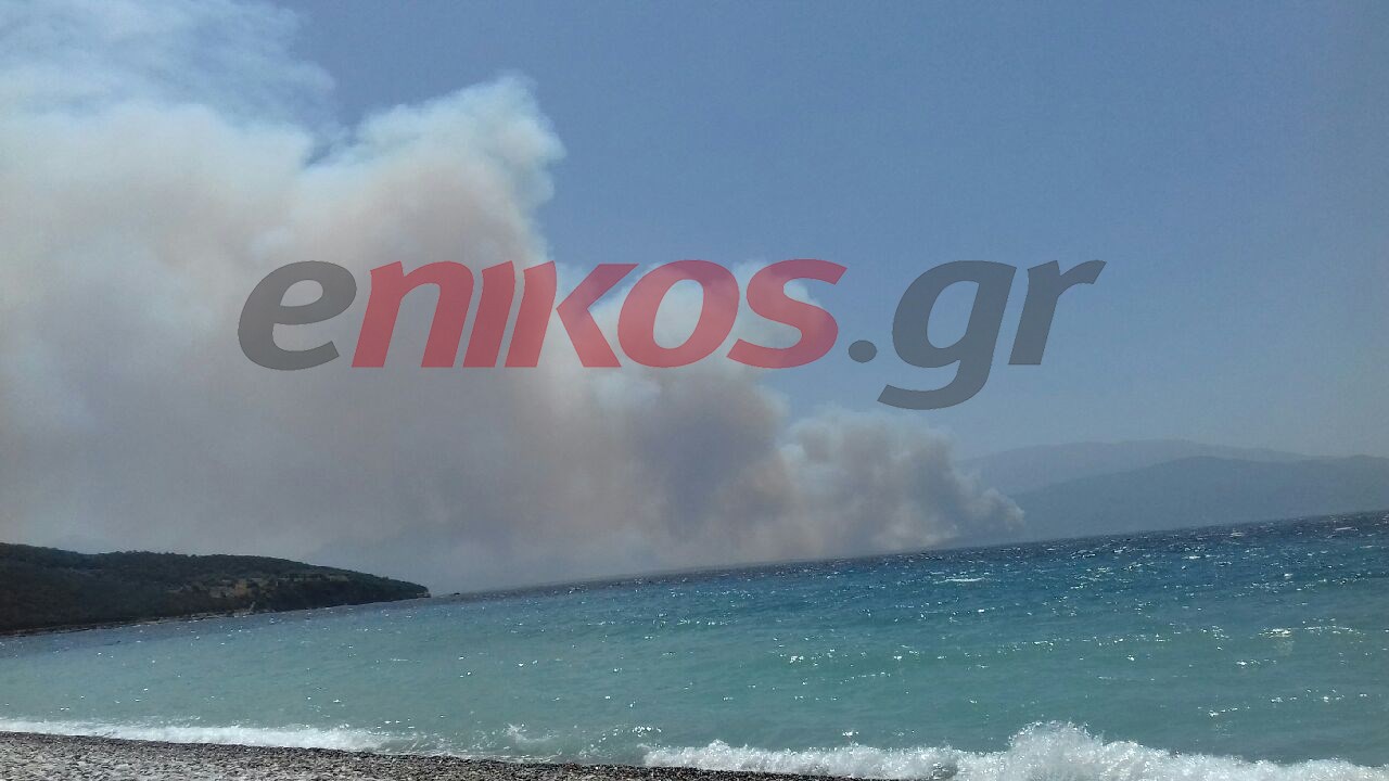 H φωτιά στη Ζήρια Αχαΐας όπως φαίνεται από τη Φωκίδα – ΦΩΤΟ αναγνώστη