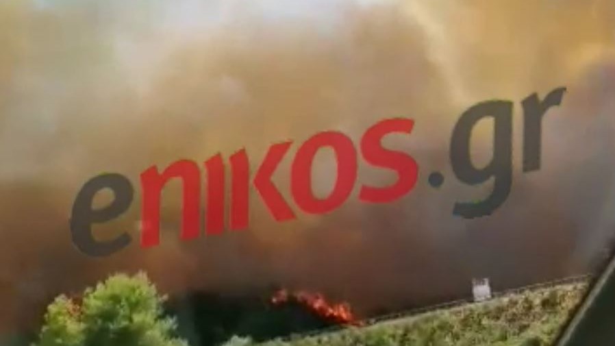 Αχαΐα: Εικόνες που κόβουν την ανάσα από τη μεγάλη φωτιά – ΦΩΤΟ και ΒΙΝΤΕΟ αναγνώστη