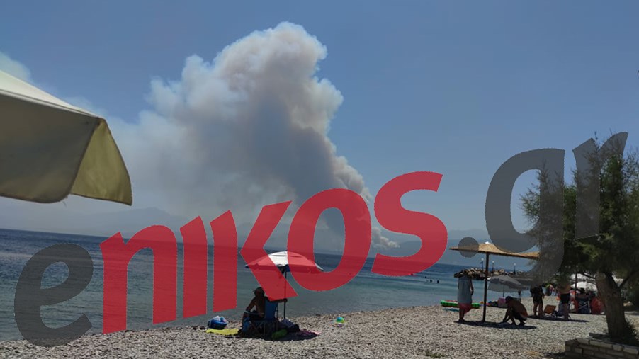 Φωτιά στην Αχαΐα: Οι καπνοί είναι ορατοί και από τον Μαραθιά Φωκίδας – ΦΩΤΟ αναγνώστη