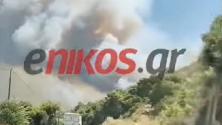 Φωτιά στην Αχαΐα: “Κάηκαν περισσότερα από 20 σπίτια” – Τι λέει ο πρόεδρος του Δημοτικού Συμβουλίου Αιγιαλείας