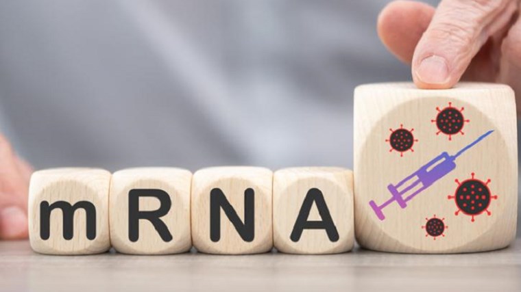 Εμβόλιο Pfizer: Υψηλά επίπεδα αντισωμάτων πέντε μήνες μετά τον εμβολιασμό – Η μελέτη του ΕΚΠΑ