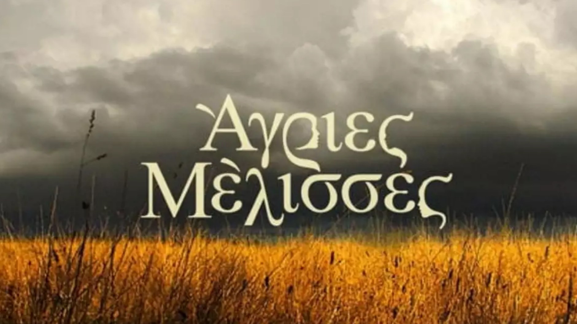 Έρωτας από το παρελθόν στις Άγριες Μέλισσες – Θα διεκδικήσει τη μεγάλη του αγάπη;