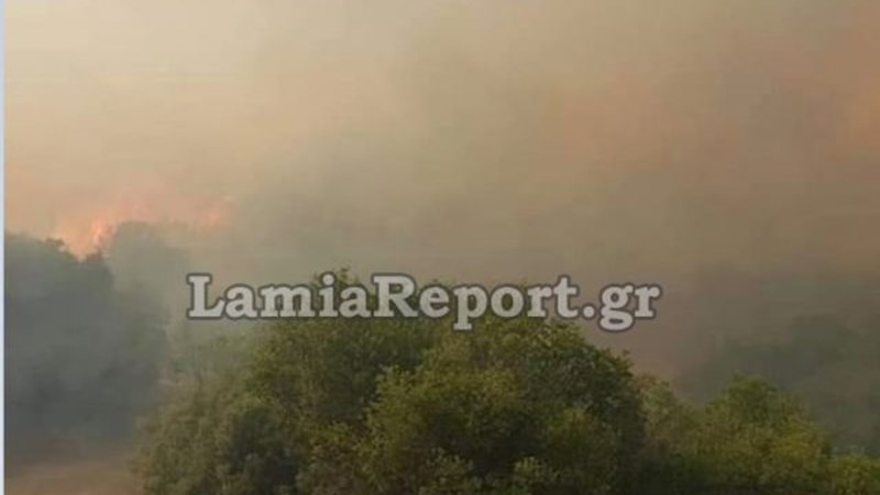 Λαμία: Μάχη με τις αναζωπυρώσεις δίνουν οι πυροσβέστες στη Φθιώτιδα