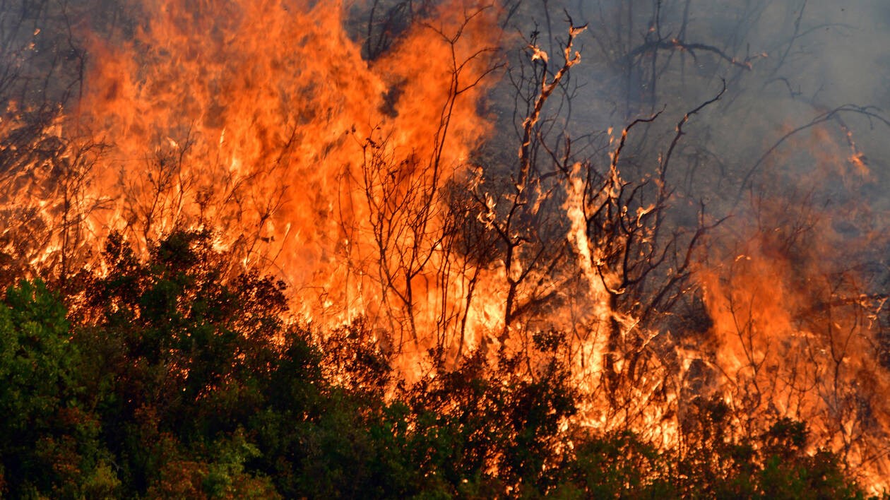 Φωτιά στην Καστανιά του δήμου Ανατολικής Μάνης – ΤΩΡΑ
