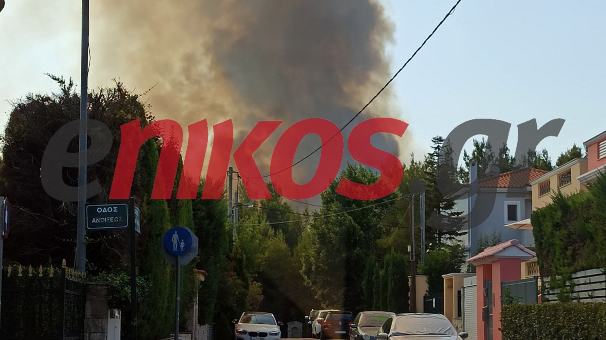 ΦΩΤΟ από το Κρυονέρι – Ανεξέλεγκτη η μεγάλη φωτιά