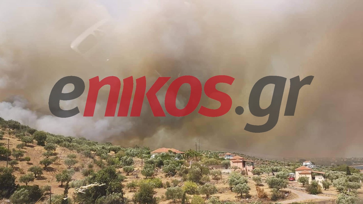 Μεγάλη φωτιά στη Μεσσηνία: Μήνυμα του 112 για εκκένωση οικισμών