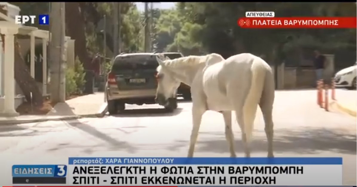 Άλογα έφτασαν στην πλατεία της Βαρυμπόμπης για να ξεφύγουν από τη φωτιά – ΒΙΝΤΕΟ