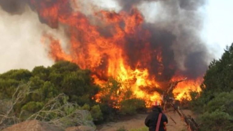 Αχαΐα: Φωτιά ΤΩΡΑ στην περιοχή των Καλαβρύτων