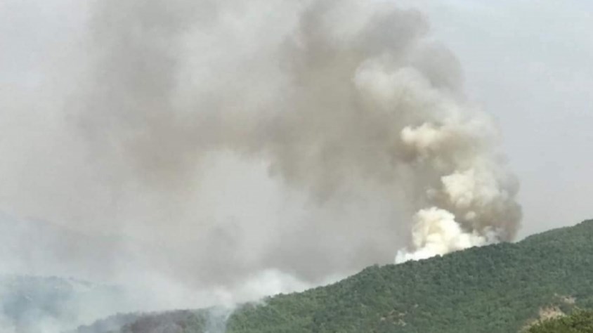 Φωτιά στα Γρεβενά – Καίει σε δασική έκταση κοντά στο Καρπερό