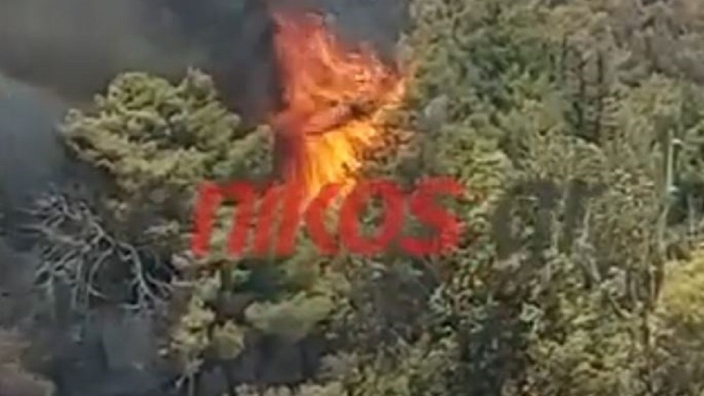 Φωτιά στη Βαρυμπόμπη: Αναζωπύρωση αυτή την ώρα – ΒΙΝΤΕΟ αναγνώστη