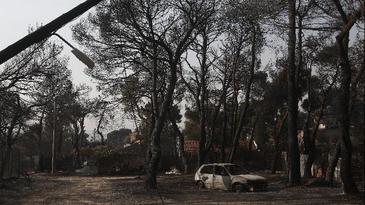Χαρδαλιάς για φωτιά στη Βαρυμπόμπη: Κάηκαν 12.500 στρέμματα  – Οι πρώτες εκτιμήσεις για τις ζημιές