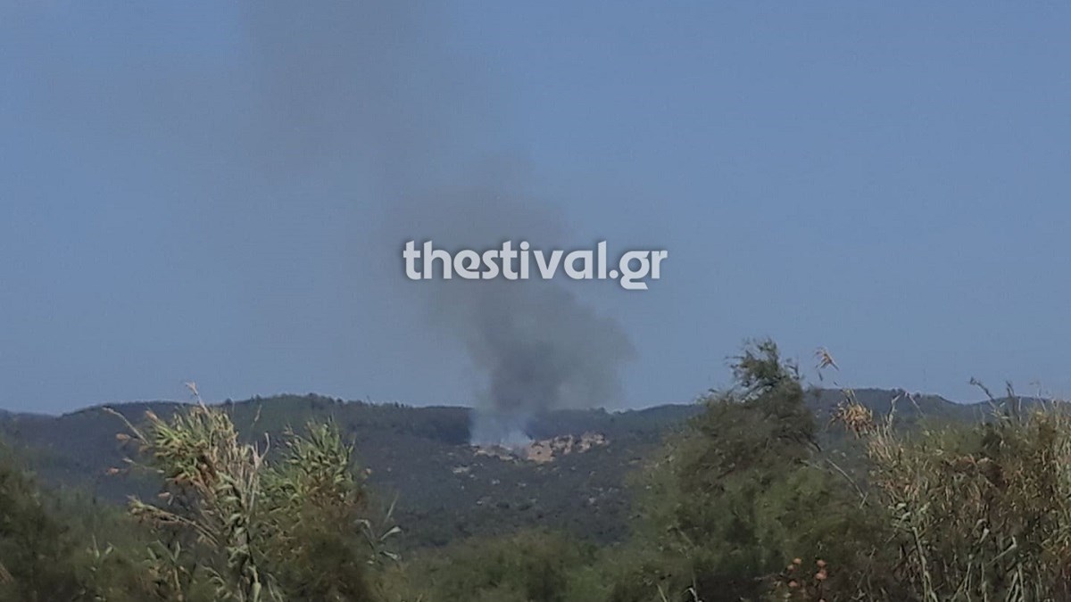 Καίγεται δάσος στη Χαλκιδική – ΦΩΤΟ – ΒΙΝΤΕΟ