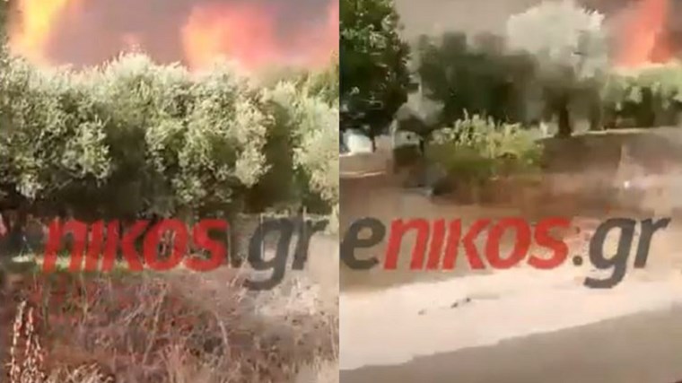 Εκτός ελέγχου η φωτιά στην Ηλεία – Οι φλόγες “καταπίνουν” το Πελόπιο – ΒΙΝΤΕΟ αναγνώστη