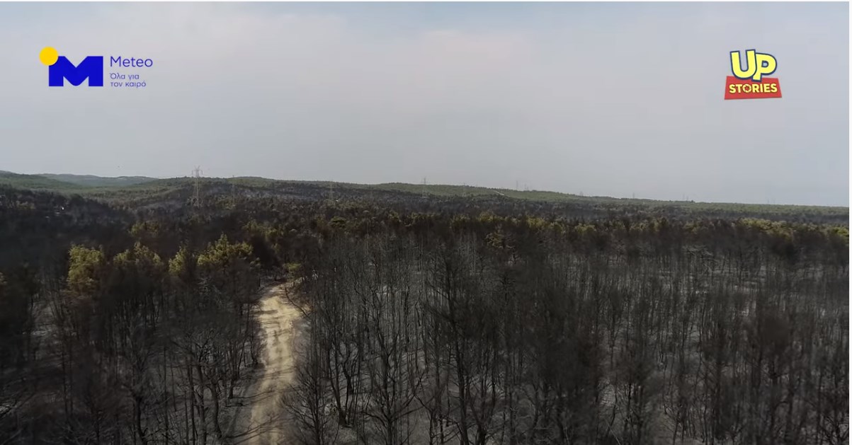 Πτήση με drone στη Βαρυμπόμπη –  Εικόνες καταστροφής από το πέρασμα της “πύρινης λαίλαπας”
