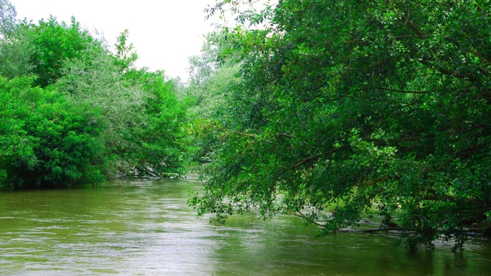 Θρίλερ στον ποταμό Νέστο – Αγνοείται 21χρονος έπειτα από βουτιά