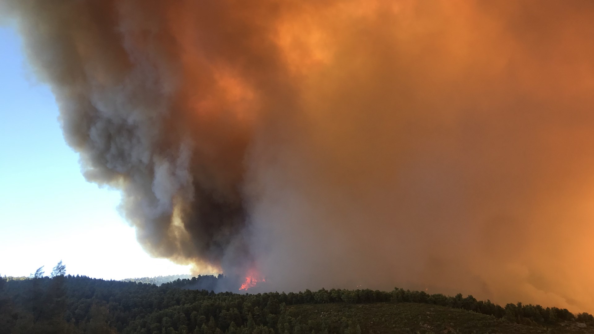 Σε ποιες περιοχές είναι πολύ υψηλός ο κίνδυνος πυρκαγιάς σήμερα