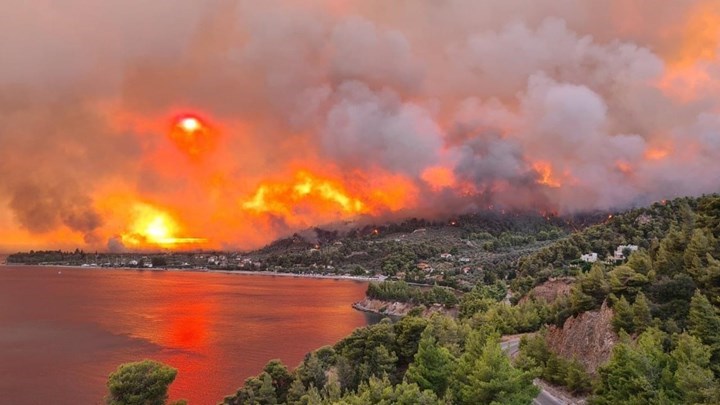 Φωτιά στην Εύβοια: Σε κατάσταση έκτακτης ανάγκης ο δήμος Ελυμνίων