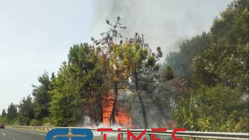 Συναγερμός από φωτιά στην εθνική οδό Θεσσαλονίκης – Αθηνών – ΦΩΤΟ – BINTEO