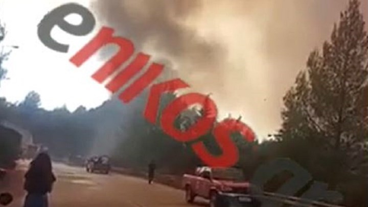 Φωτιά στην Ηλεία: Εκκενώνεται η περιοχή Χελιδόνι – Μήνυμα του “112”