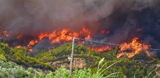 Φωτιά στην Ηλεία: Πληροφορίες για εγκλωβισμένους στον Λάσδικα