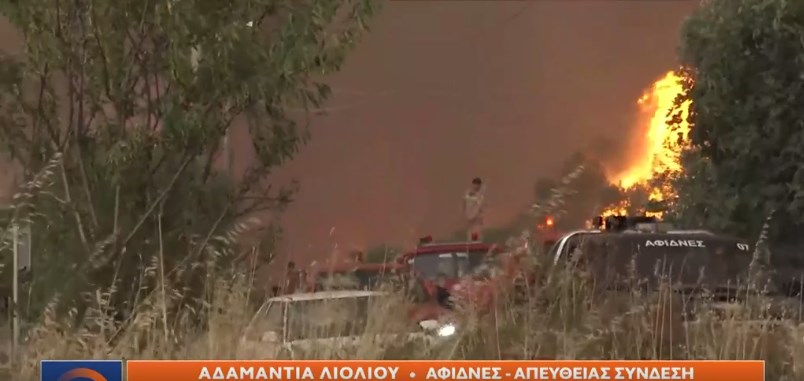 Αγωνία για Κρυονέρι και Αφίδνες  – Οι φλόγες “γλείφουν” τα σπίτια – ΒΙΝΤΕΟ