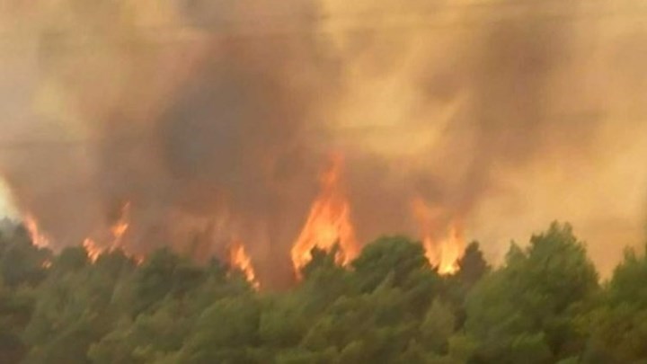 Μήνυμα “112”: Δεν επιτρέπεται η πρόσβαση σε δάση και άλση – Αποφεύγουμε άσκοπες μετακινήσεις