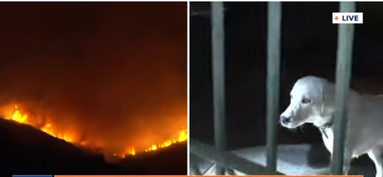 Η φωτιά μπήκε στην Ιπποκράτειο Πολιτεία – ΒΙΝΤΕΟ