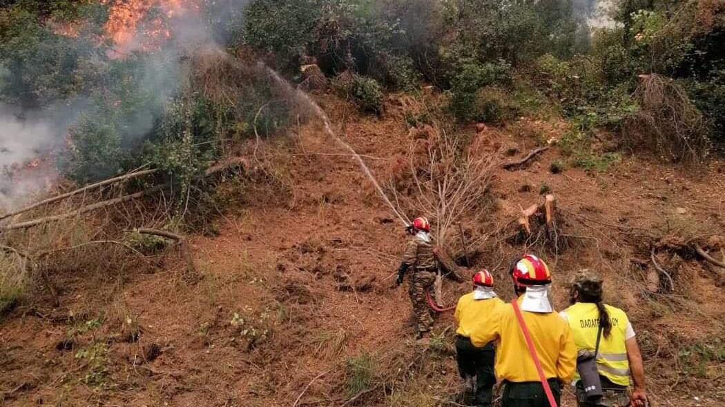 Με πόσες δυνάμεις ρίχνονται οι Ένοπλες Δυνάμεις στις πυρκαγιές – ΦΩΤΟ