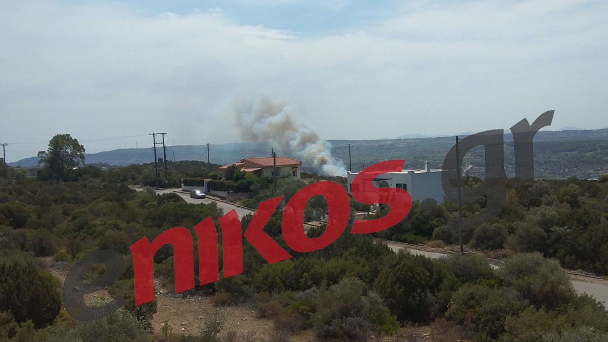 Φωτιά στον Θεολόγο Φθιώτιδας – Εντολή για εκκένωση – ΦΩΤΟ αναγνώστη