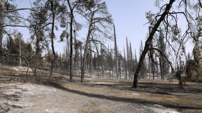Καιγόταν το σπίτι του Παπαναστασίου την ώρα που πανηγύριζε την πρόκριση στον τελικό του πόλο
