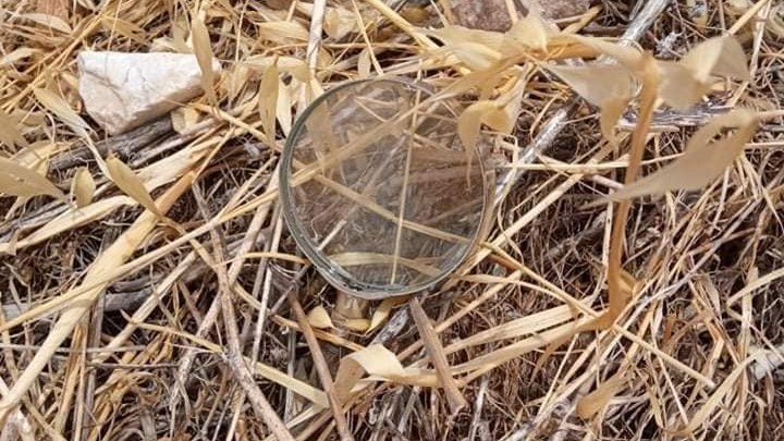Βρέθηκε μεγεθυντικός φακός σε δάσος στους πρόποδες του Υμηττού