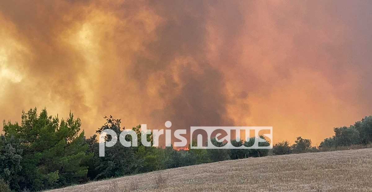 Πολλαπλά τα πύρινα μέτωπα στην Ηλεία – “Μάχη” σε Νεμούτα και Βαρβάσαινα – ΦΩΤΟ – ΒΙΝΤΕΟ