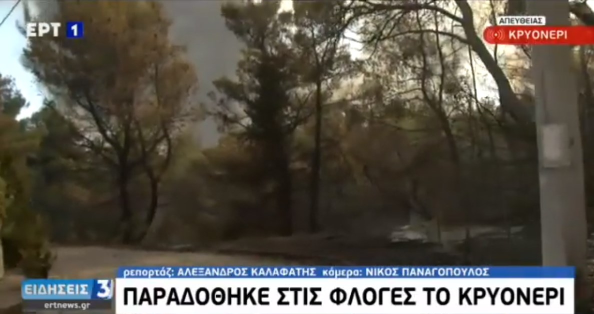 Νέα αναζωπύρωση στο Κρυονέρι – ΒΙΝΤΕΟ