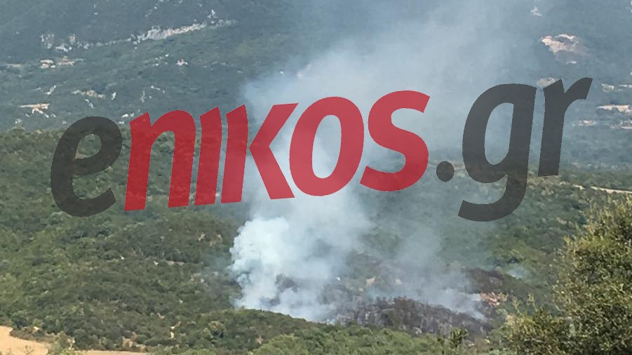Μάχη με τις φλόγες και στην  Ήπειρο – ΦΩΤΟ αναγνώστη