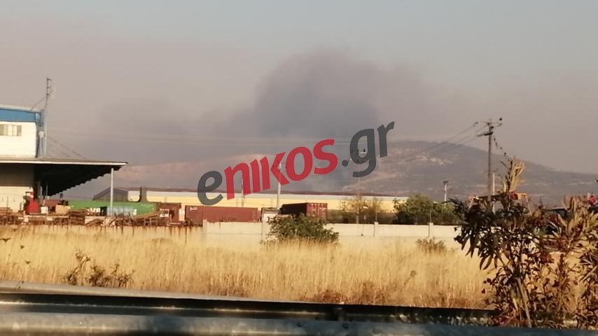 Φωτιά στα Άνω Λιόσια: Προς την Πετρούπολη οι φλόγες – ΒΙΝΤΕΟ & ΦΩΤΟ αναγνώστη